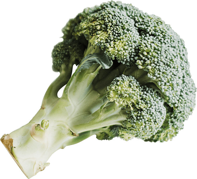 foto broccoli - detox lever darmen ontgiften